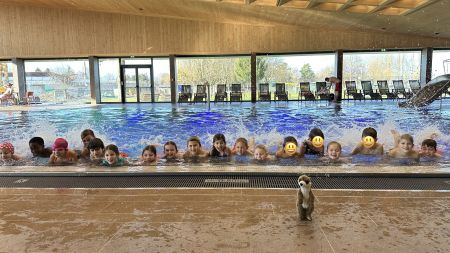 Schwimmkurs der 2a